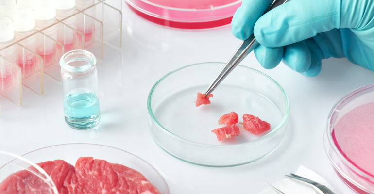 Carne cultivada em laboratório deve chegar ao mercado brasileiro em 2024.png